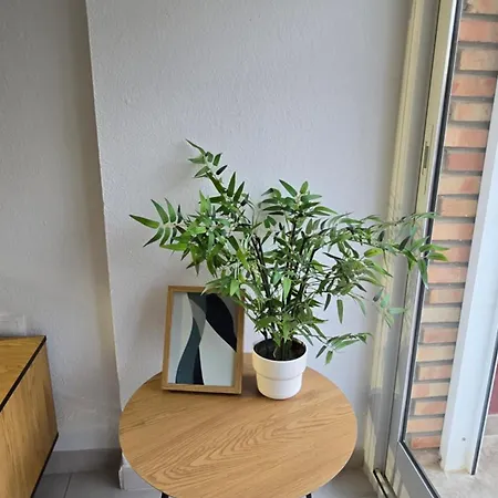 Appartement Minerva 401 Estudio Con Gran Piscina Y Parque Acuatico *
