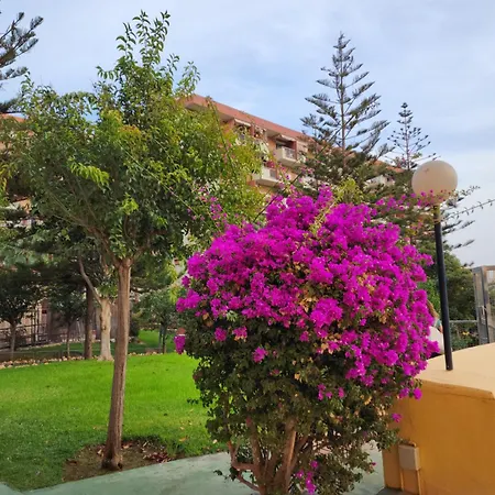 Appartement Minerva 401 Estudio Con Gran Piscina Y Parque Acuatico